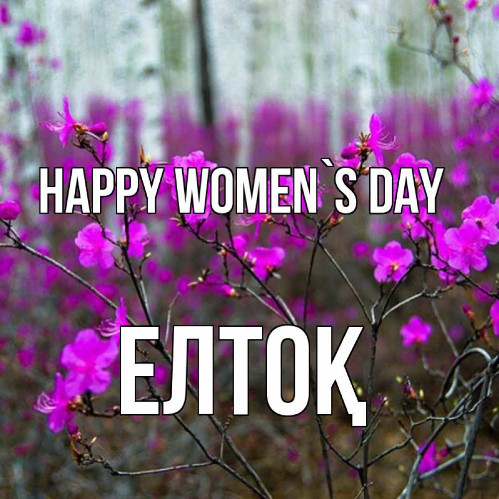 Greetings card с именем, Елтоқ happy women`s day дикие цветы Greetings with text for free download 